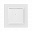 Controlador de botones para pared - 2 botones RFWB-20/G photo